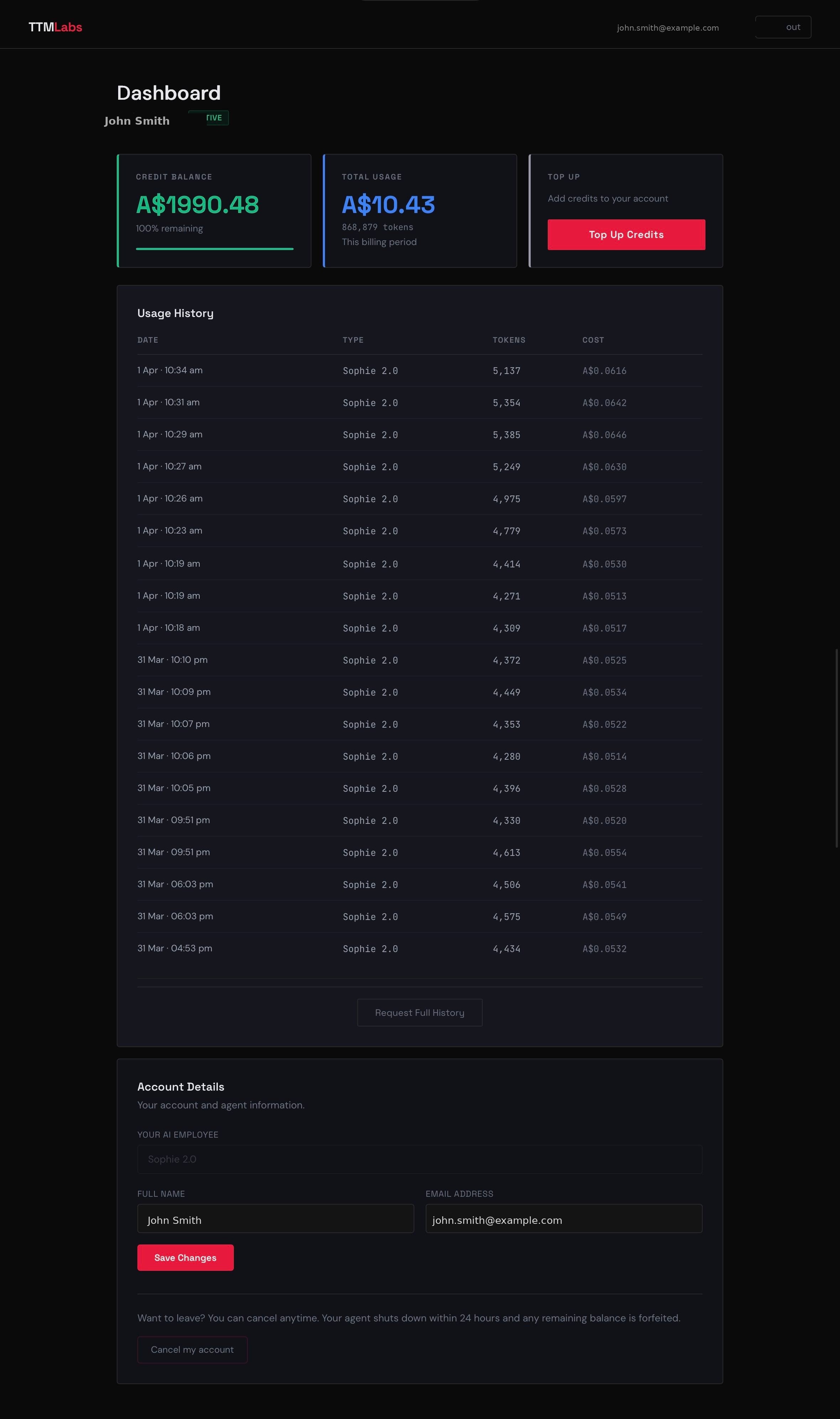 TTMLabs client dashboard preview